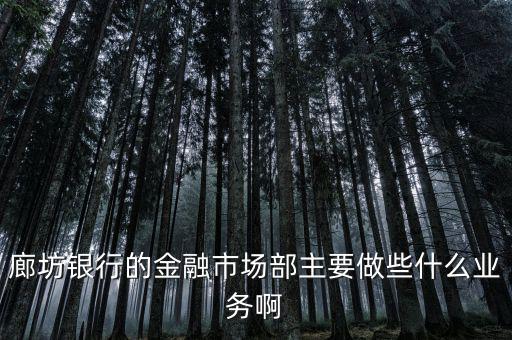 齊飛金融主營什么業(yè)務(wù)，堅(jiān)固金融都有什么業(yè)務(wù)實(shí)力怎么樣