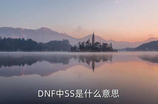 ngbss是什么，DNF武器cc和ss是指什么請(qǐng)?jiān)敿?xì)解釋