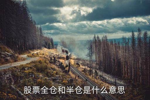 股票全倉是什么意思，股票全倉和半倉是什么意思