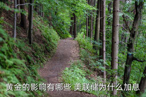 黃金的影響有哪些 美聯儲為什么加息
