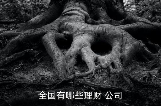 利得財(cái)富公司怎么樣,財(cái)富管理第三方咨詢平臺