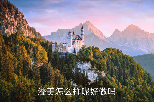 溢美金融做什么的，哪家保理公司的做的好