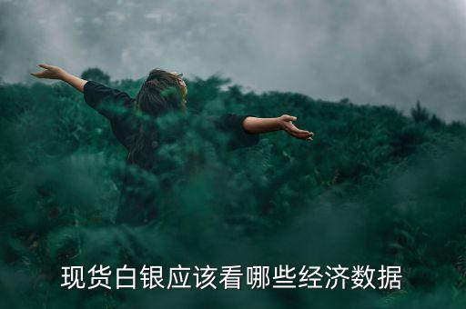 白銀價(jià)格和什么數(shù)據(jù)有關(guān)，現(xiàn)貨白銀應(yīng)該看哪些經(jīng)濟(jì)數(shù)據(jù)