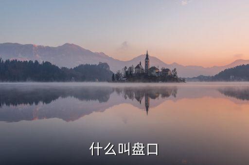 大盤口什么意思，大盤中的盤口是什么意思啊