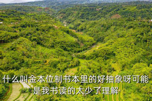 金匯兌本位制有什么用，金本位貨幣制度 的 意思