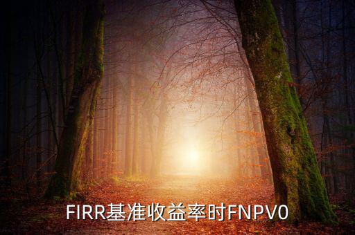 收益率什么時候為正，F(xiàn)IRR基準收益率時FNPV0