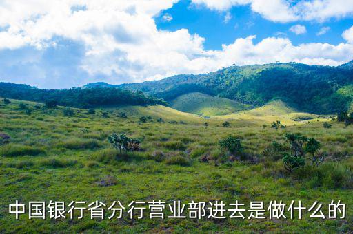 營業(yè)部是做什么的，很多公司都設(shè)有營業(yè)部請問營業(yè)部是干嘛的呀