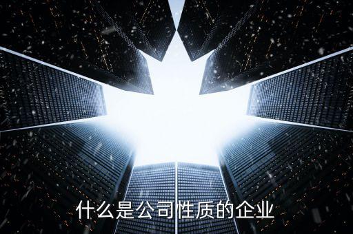 中期集團是什么性質(zhì)的企業(yè)，集團是什么性質(zhì)的公司