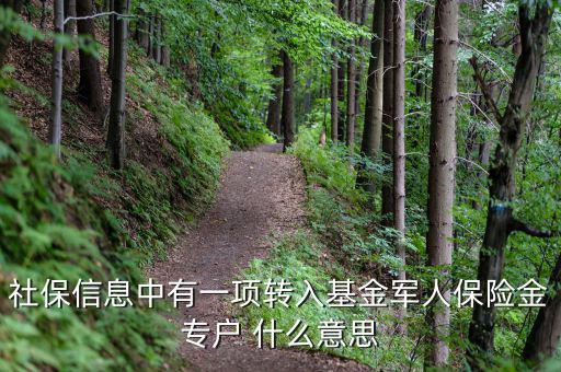 什么是社保轉(zhuǎn)入基金，請問一下社保綜合中轉(zhuǎn)入基金是什么呢不明白里面的基金是怎么回事