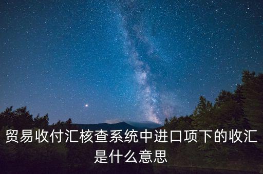貿(mào)易收付匯核查系統(tǒng)中進(jìn)口項下的收匯是什么意思
