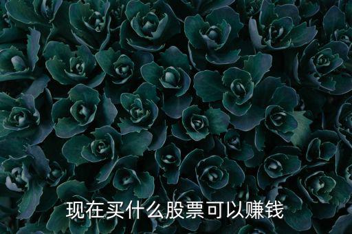 今年買什么股票可以賺錢，現(xiàn)在買什么股票可以賺錢