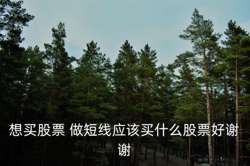 短線買什么股票好，散戶短線買哪些股票好
