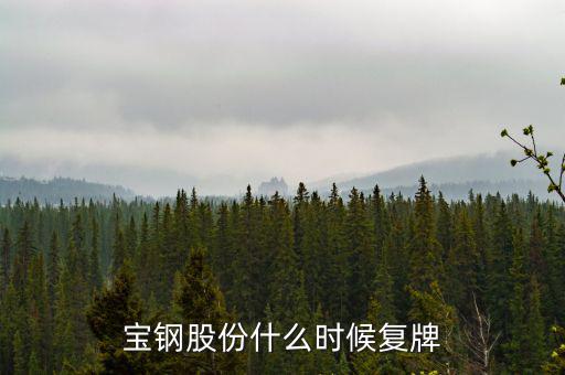 寶鋼什么時(shí)候復(fù)牌，武鋼和寶鋼什么時(shí)候完成重組