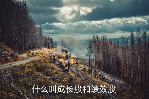 什么績(jī)效股票，什么叫成長(zhǎng)股和績(jī)效股