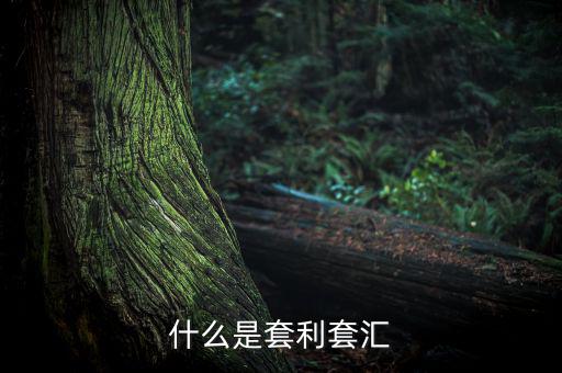 外匯套利是什么意思，什么是外匯期貨套利交易
