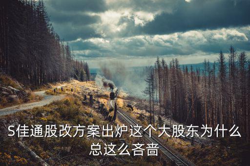 s佳通為什么不股改，s佳通的流通股這么少為什么不股改全流通