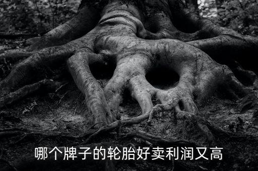 什么輪胎利潤(rùn)大，哪個(gè)牌子的輪胎好賣利潤(rùn)又高