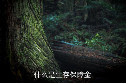 什么是生存保險(xiǎn)金，什么是生存保障金