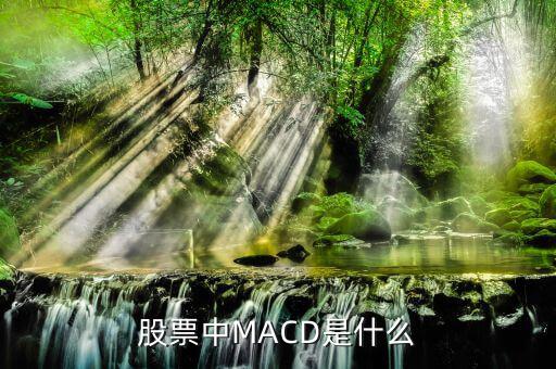 股市里MACD是什么意思，股票中MACD指標(biāo)是什么意思