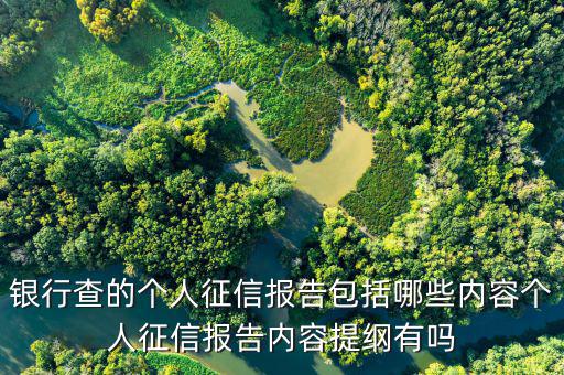 個(gè)人征信查詢都查什么，個(gè)人征信擔(dān)保審查都查什么