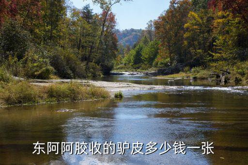 東阿阿膠股2012年是什么價(jià)位，誰知道山東東阿阿膠股份有限公司生產(chǎn)的補(bǔ)血膏多少錢一平300克的