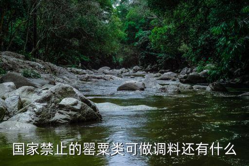 國(guó)家違禁香料有什么，國(guó)家禁止的罌粟類可做調(diào)料還有什么