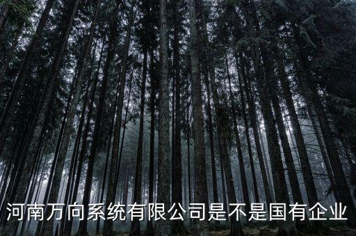 萬向集團是什么企業(yè)，萬向集團公司是哪一家公司設(shè)計的