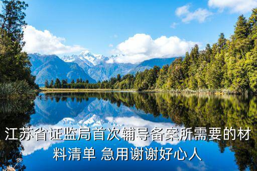 輔導(dǎo)備案登記受理是什么階段，我想問(wèn)一下辦一般納稅人申請(qǐng)后我們的輔導(dǎo)期是當(dāng)月 15小