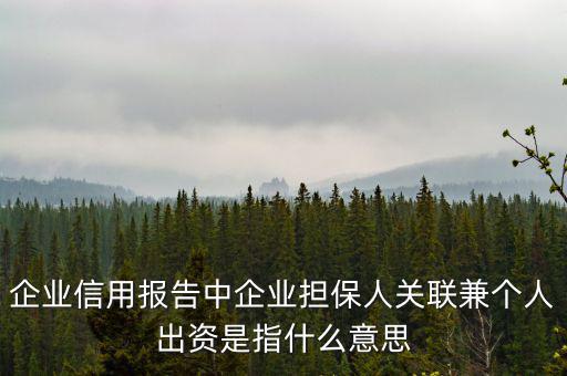 擔(dān)保人關(guān)聯(lián)是什么意思，企業(yè)征信中 擔(dān)保人關(guān)聯(lián)是什么意思