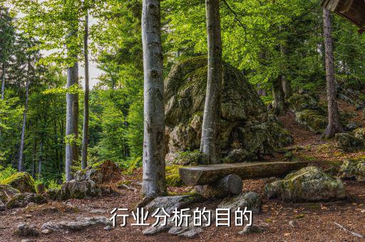 為什么要進(jìn)行行業(yè)分析，為什么要進(jìn)行市場分析