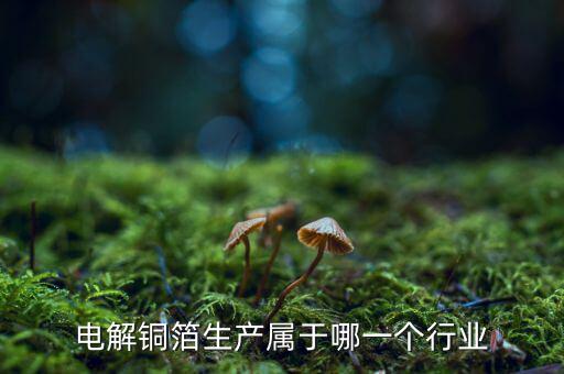 電子銅箔屬于什么行業(yè)，電解銅箔生產(chǎn)屬于哪一個(gè)行業(yè)