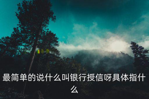 最簡(jiǎn)單的說什么叫銀行授信呀具體指什么