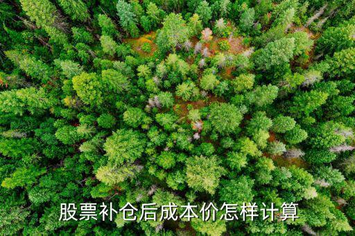  股票補(bǔ)倉后成本價怎樣計算