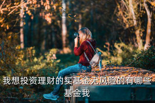 買什么基金是沒有風(fēng)險(xiǎn)，什么樣的基金沒有太大的風(fēng)險(xiǎn)