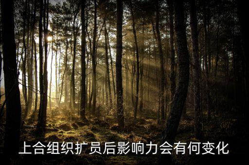 上合組織什么時(shí)候擴(kuò)員，上合組織可能擴(kuò)員么