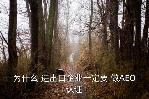 為什么 進出口企業(yè)一定要 做AEO認證