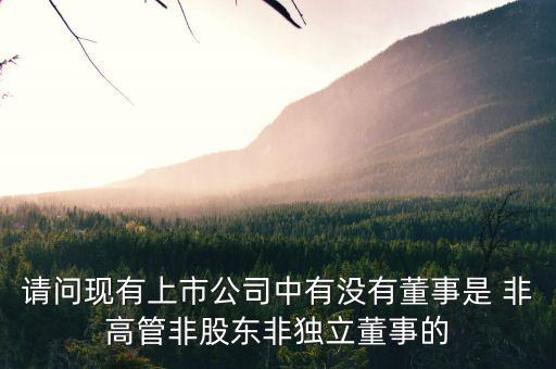 什么是非獨立董事，什么叫執(zhí)行董事非執(zhí)行董事和獨立非執(zhí)行董事