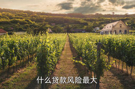 什么貸款風(fēng)險最大