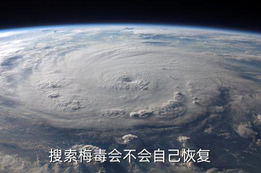 搜索梅毒會(huì)不會(huì)自己恢復(fù)