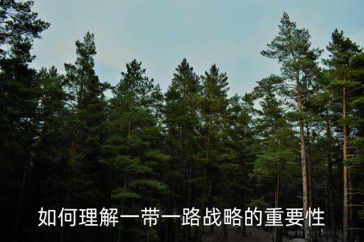中國為什么要搞一帶一路，當代國際社會的知識分析我國為什么要提出一帶一路的倡