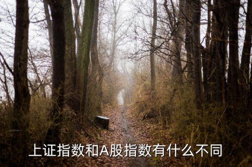 上證指數(shù)和A股什么區(qū)別，上證指數(shù)和A股指數(shù)有什么不同