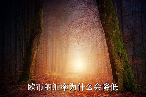 歐元為什么下跌，歐元下跌的真正原因是什么