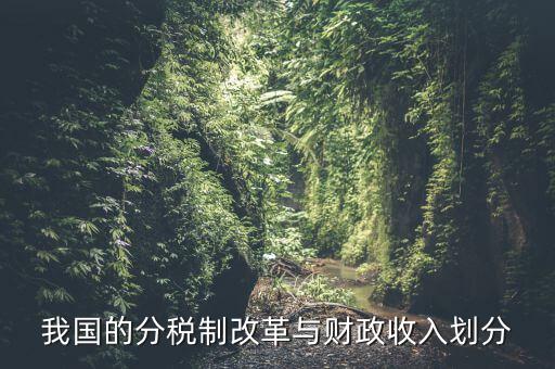中國財政為什么會分權(quán)，西方的財政分權(quán)理論是否適合中國為什么