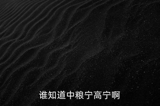 寧高寧為什么離開華潤，誰知道中糧寧高寧啊