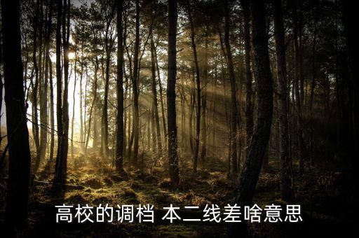 高校的調檔 本二線差啥意思