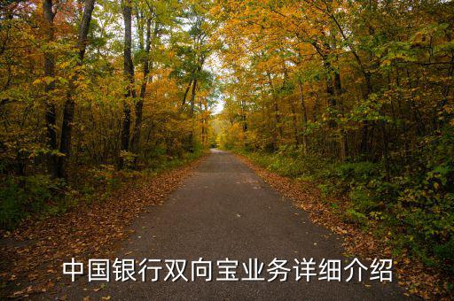 中行雙向?qū)毷鞘裁矗袊y行雙向?qū)殬I(yè)務(wù)詳細介紹