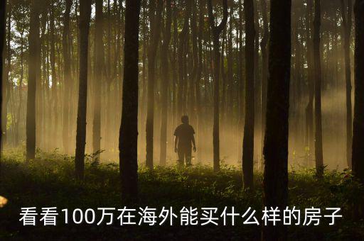 100萬在國外能買什么，看看100萬在海外能買什么樣的房子