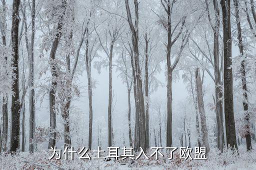 為什么土耳其無法加入歐盟，為什么土耳其入不了歐盟
