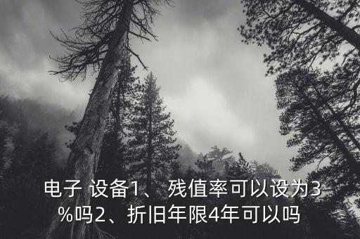  電子 設(shè)備1、 殘值率可以設(shè)為3%嗎2、折舊年限4年可以嗎