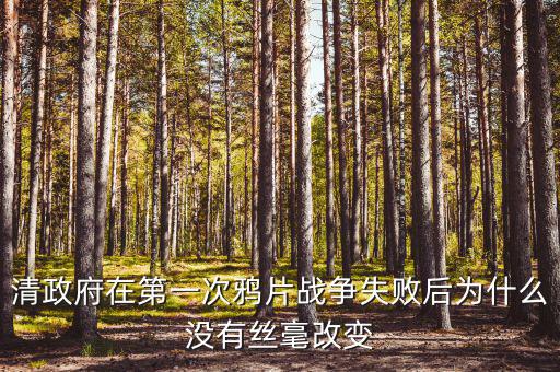 清政府在第一次鴉片戰(zhàn)爭(zhēng)失敗后為什么沒有絲毫改變